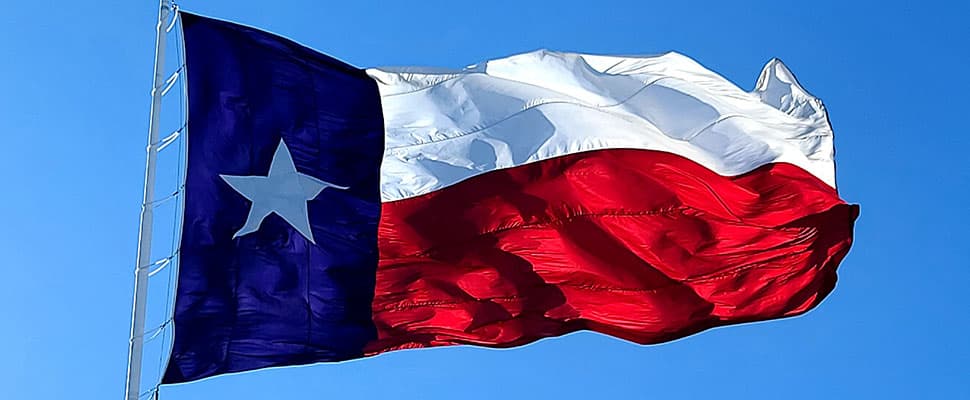 2021 GUIDE TO BUYING A HOME IN TEXAS